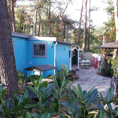 Boshuis Turquoise / Smaakvol Genieten Op De Veluwe Hoenderloo Dış mekan fotoğraf