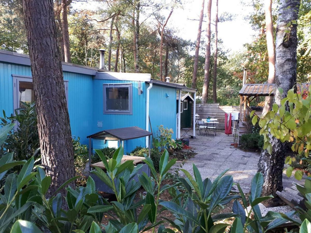 Boshuis Turquoise / Smaakvol Genieten Op De Veluwe Hoenderloo Dış mekan fotoğraf