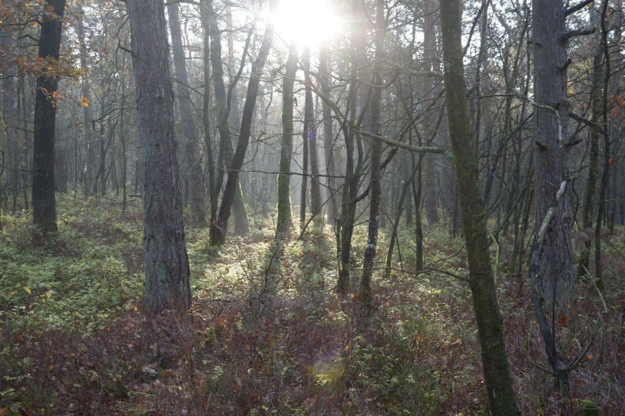 Boshuis Turquoise / Smaakvol Genieten Op De Veluwe Hoenderloo Dış mekan fotoğraf