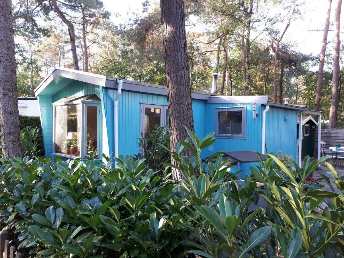 Boshuis Turquoise / Smaakvol Genieten Op De Veluwe Hoenderloo Dış mekan fotoğraf