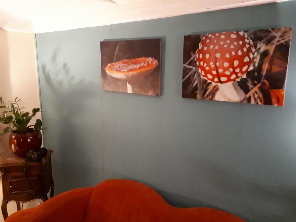 Boshuis Turquoise / Smaakvol Genieten Op De Veluwe Hoenderloo Dış mekan fotoğraf